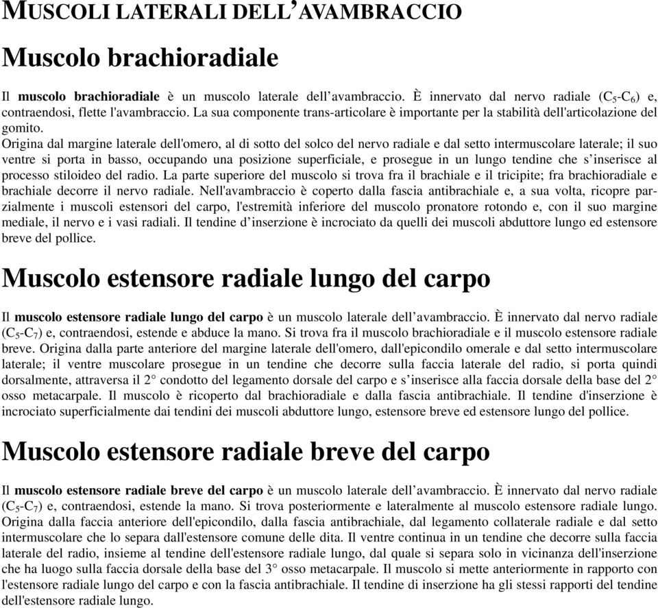 Origina dal margine laterale dell'omero, al di sotto del solco del nervo radiale e dal setto intermuscolare laterale; il suo ventre si porta in basso, occupando una posizione superficiale, e prosegue