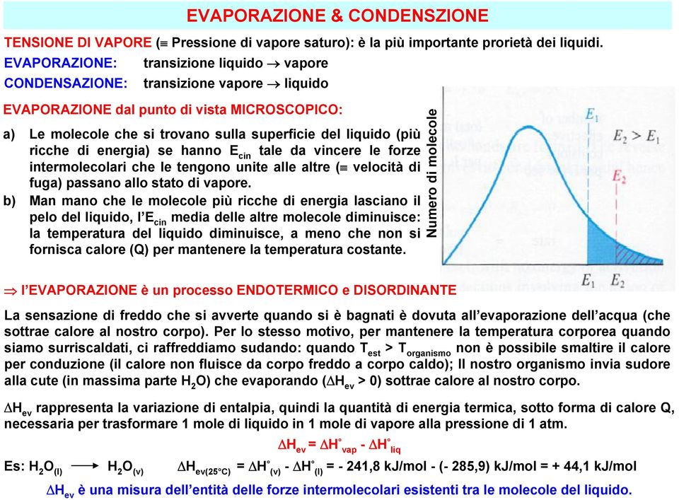 di energia) se hanno E cin tale da vincere le forze intermolecolari che le tengono unite alle altre ( velocità di fuga) passano allo stato di vapore.