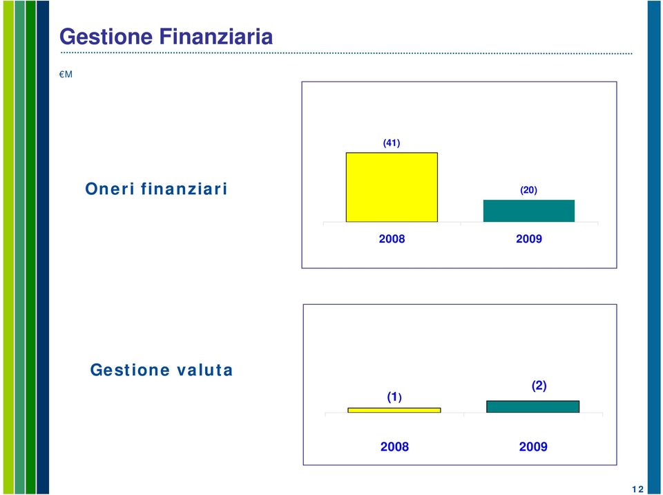 (20) 2008 2009 Gestione