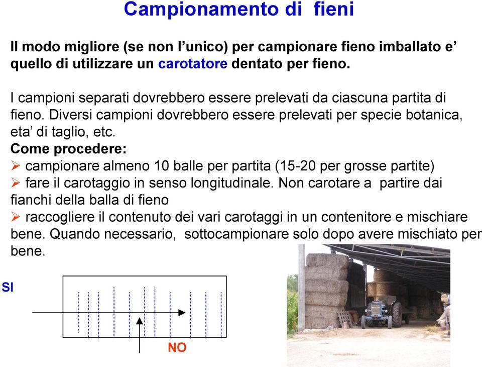 Diversi campioni dovrebbero essere prelevati per specie botanica, eta di taglio, etc.