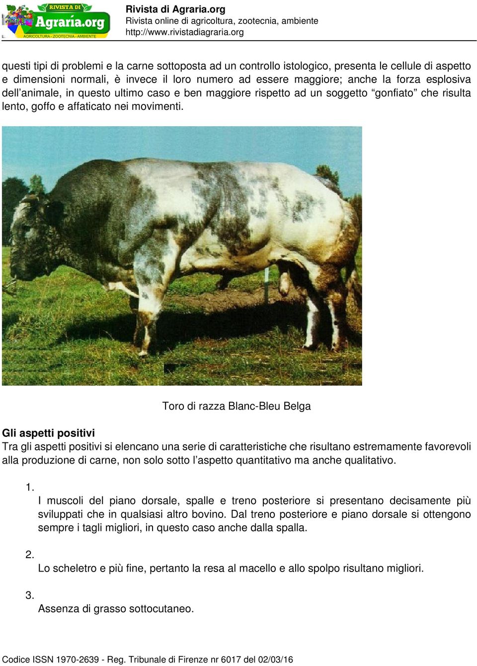 Toro di razza Blanc-Bleu Belga Gli aspetti positivi Tra gli aspetti positivi si elencano una serie di caratteristiche che risultano estremamente favorevoli alla produzione di carne, non solo sotto l