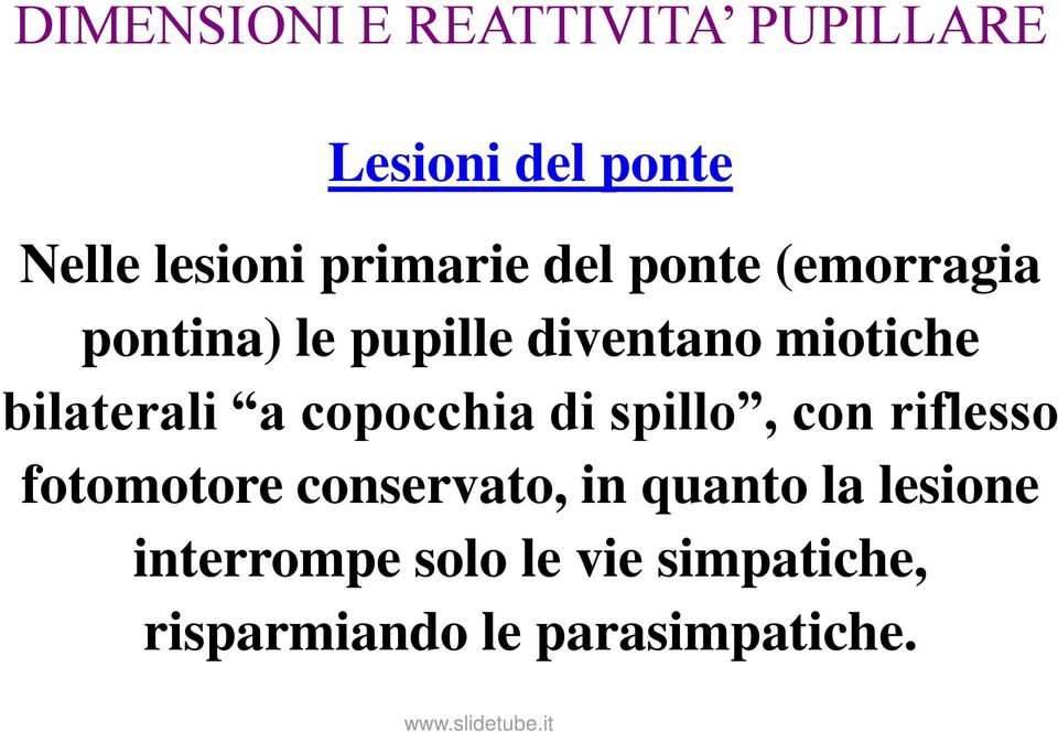 bilaterali a copocchia di spillo, con riflesso fotomotore conservato, in