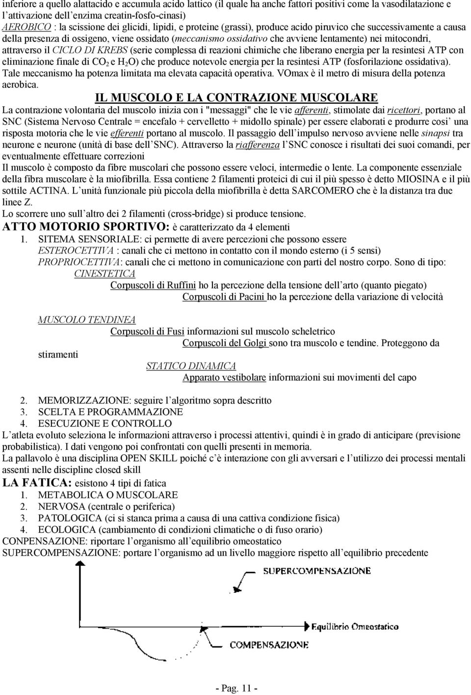 attraverso il CICLO DI KREBS (serie complessa di reazioni chimiche che liberano energia per la resintesi ATP con eliminazione finale di CO 2 e H 2 O) che produce notevole energia per la resintesi ATP