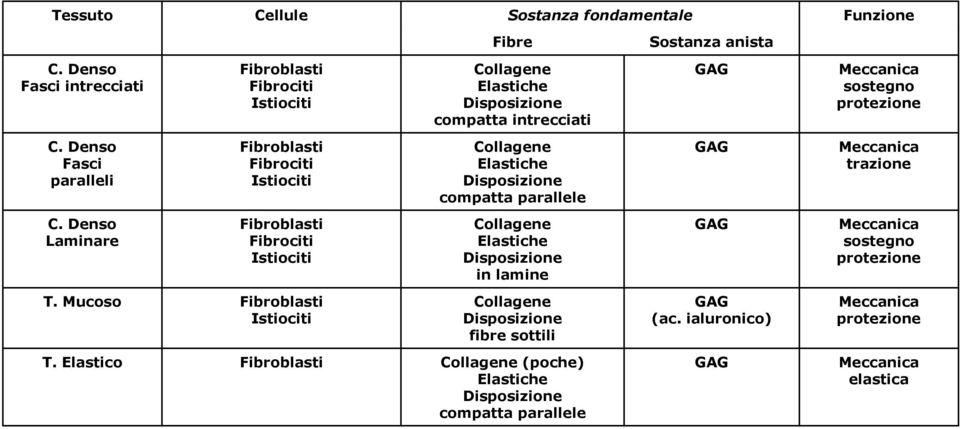 Denso Fasci paralleli Fibroblasti Fibrociti Istiociti Collagene Elastiche Disposizione compatta parallele GAG Meccanica trazione C.