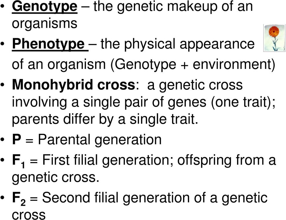 of genes (one trait); parents differ by a single trait.