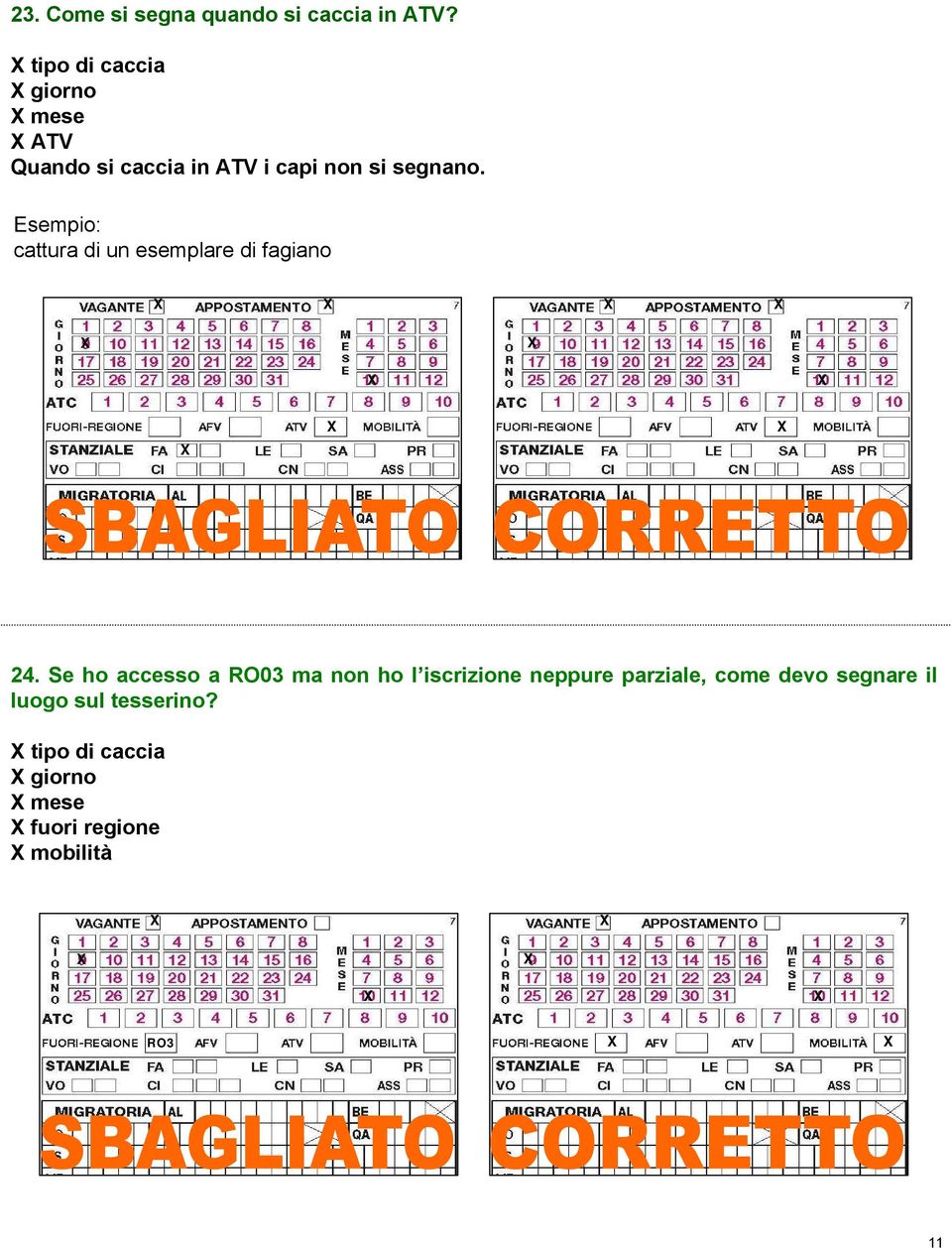 cattura di un esemplare di fagiano 24.