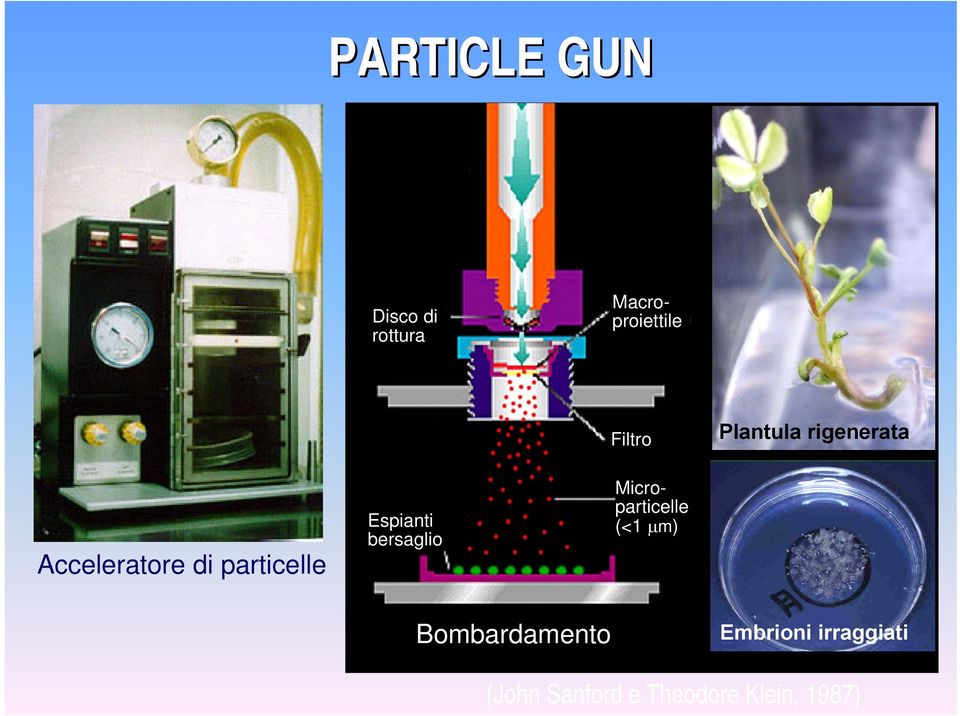 bersaglio Macroproiettile Microparticelle (<1 μm)