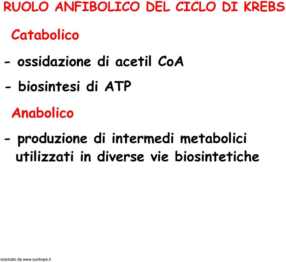 biosintesi di ATP Anabolico - produzione di
