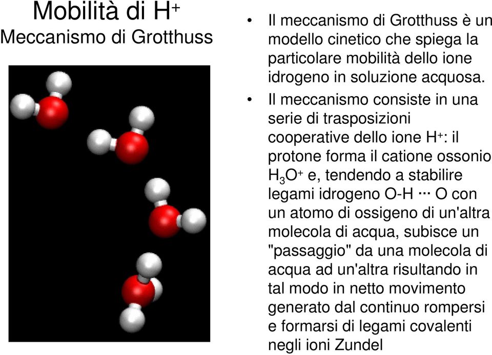 Il meccanismo consiste in una serie di trasposizioni cooperative dello ione H + : il protone forma il catione ossonio H 3 O + e, tendendo a