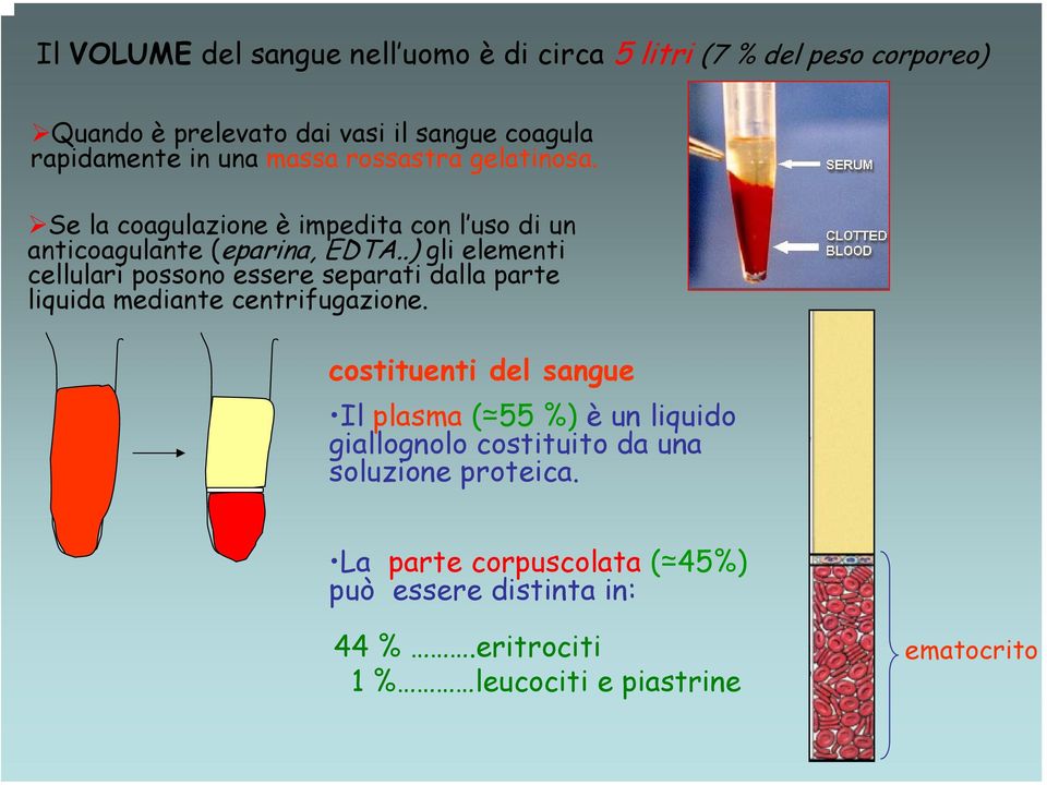 .) gli elementi cellulari possono essere separati dalla parte liquida mediante centrifugazione.