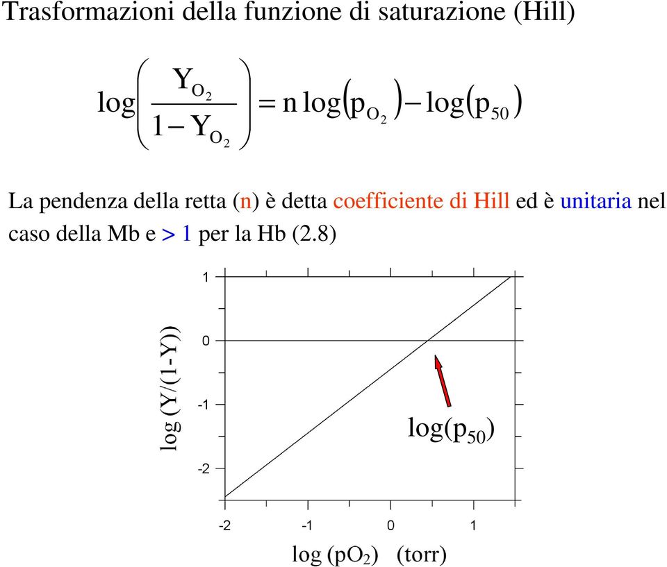 della retta (n) è detta coefficiente di Hill ed è