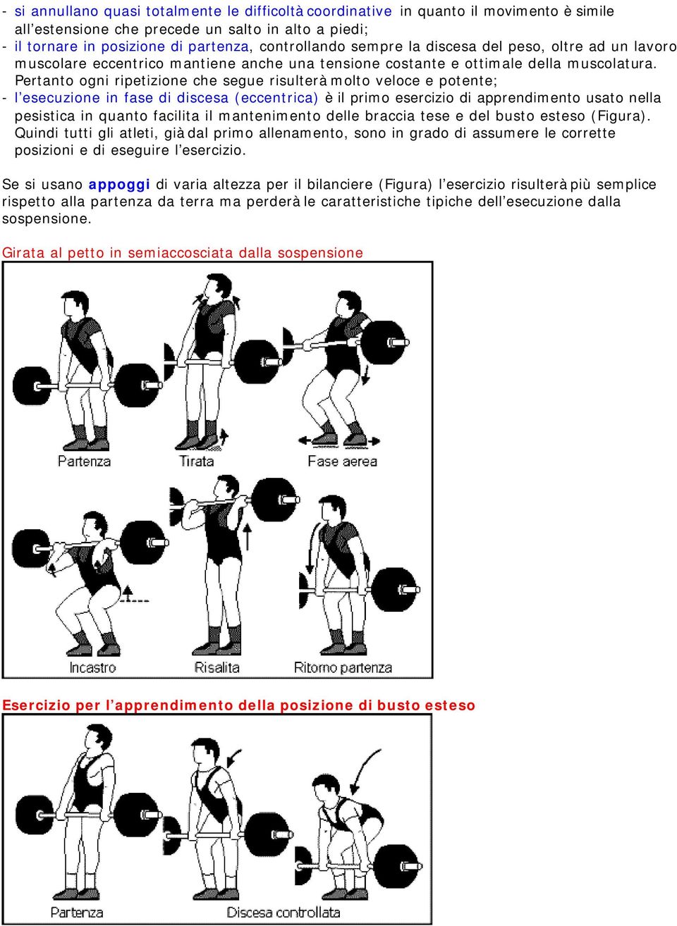 Pertanto ogni ripetizione che segue risulterà molto veloce e potente; - l esecuzione in fase di discesa (eccentrica) è il primo esercizio di apprendimento usato nella pesistica in quanto facilita il