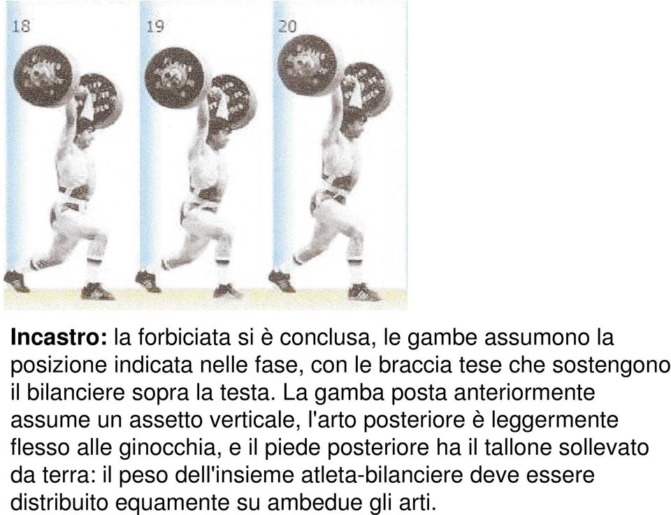 La gamba posta anteriormente assume un assetto verticale, l'arto posteriore è leggermente flesso alle