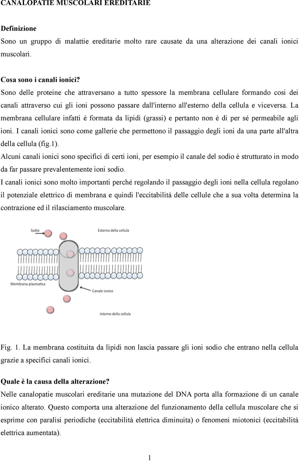 La membrana cellulare infatti è formata da lipidi (grassi) e pertanto non è di per sé permeabile agli ioni.