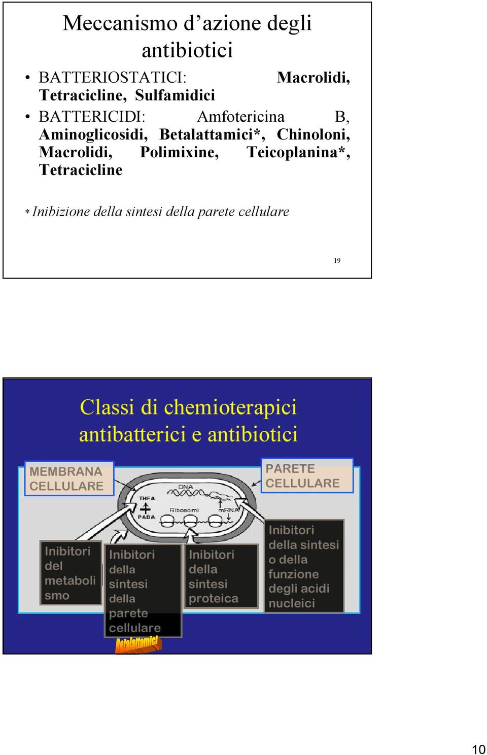 Chinoloni, Macrolidi, Polimixine, Teicoplanina*, Tetracicline * Inibizione