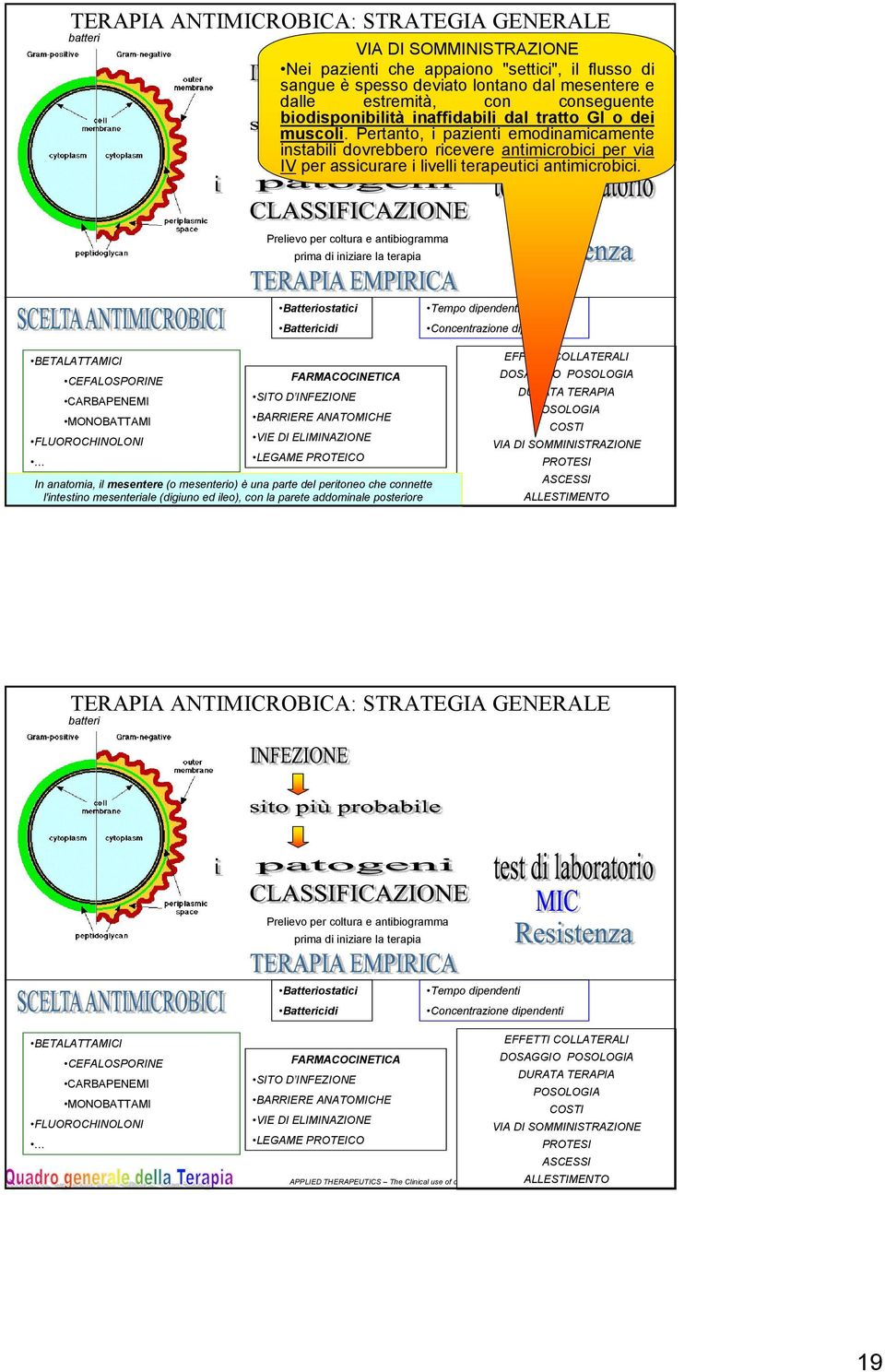 Batteriostatici Battericidi Tempo dipendenti Concentrazione dipendenti BETALATTAMICI CEFALOSPORINE FARMACOCINETICA CARBAPENEMI SITO D INFEZIONE MONOBATTAMI BARRIERE ANATOMICHE FLUOROCHINOLONI VIE DI