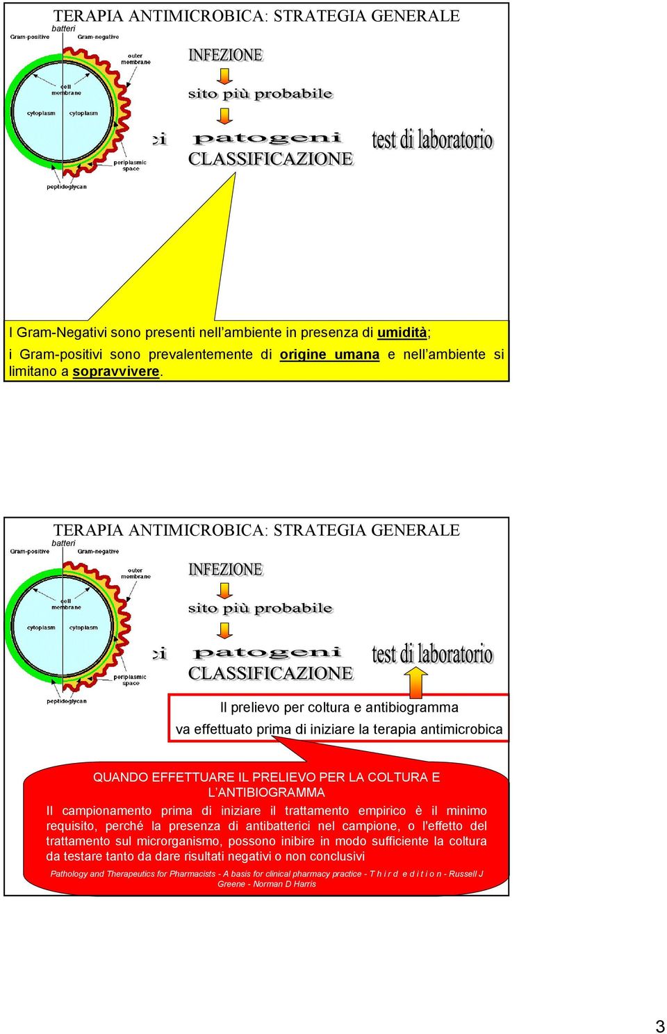 empirico è il minimo requisito, perché la presenza di antici nel campione, o l'effetto del trattamento sul microrganismo, possono inibire in modo sufficiente la coltura da testare