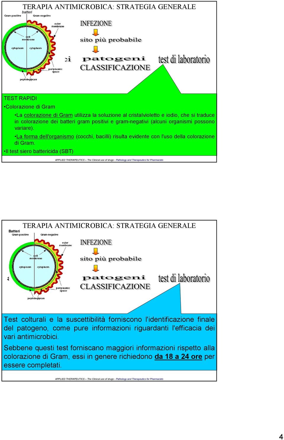 Il test siero cida (SBT) Batteri Test colturali e la suscettibilità forniscono l'identificazione finale del patogeno, come pure informazioni riguardanti