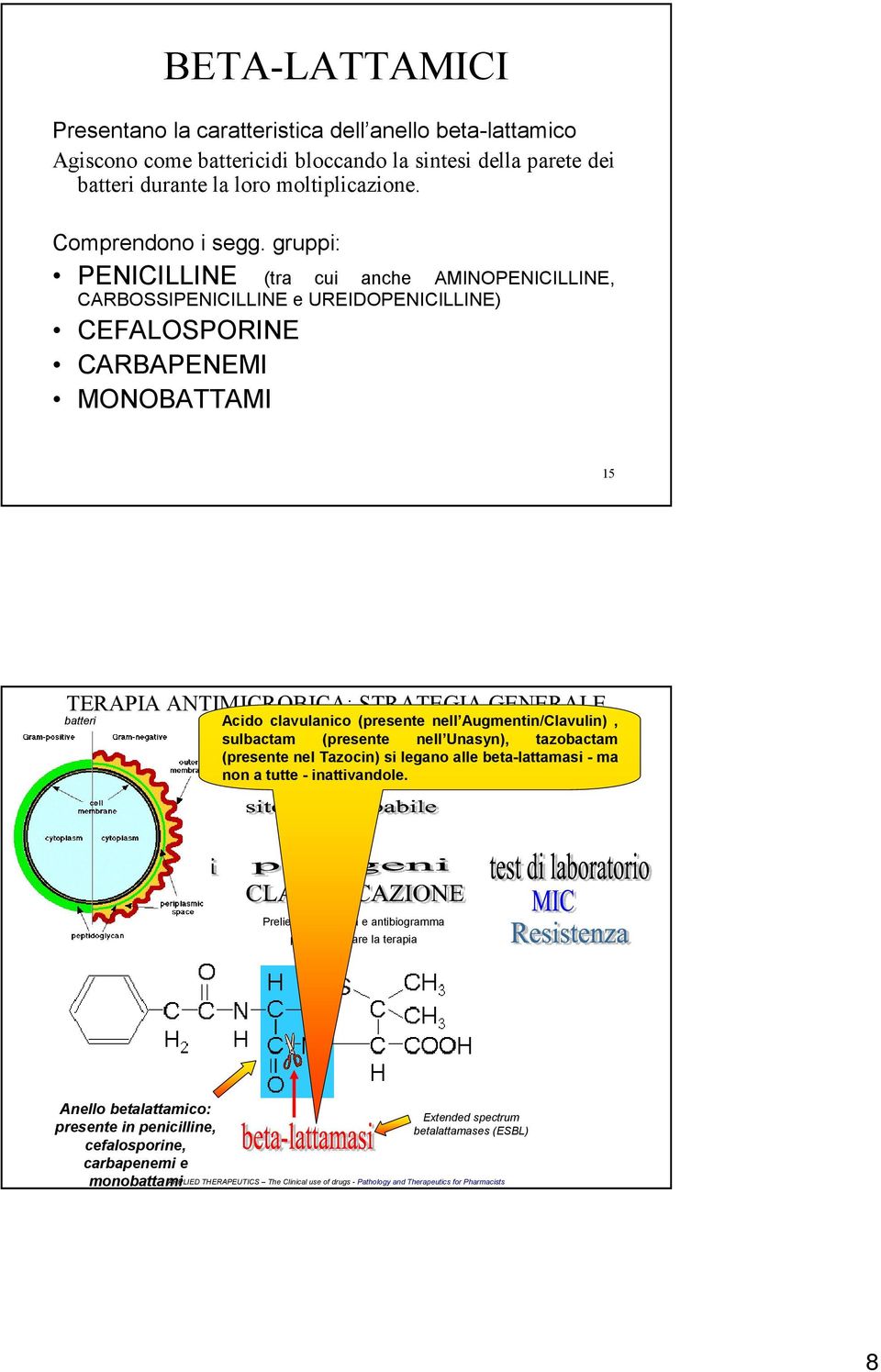 gruppi: PENICILLINE (tra cui anche AMINOPENICILLINE, CARBOSSIPENICILLINE e UREIDOPENICILLINE) CEFALOSPORINE CARBAPENEMI MONOBATTAMI 15 Acido clavulanico (presente