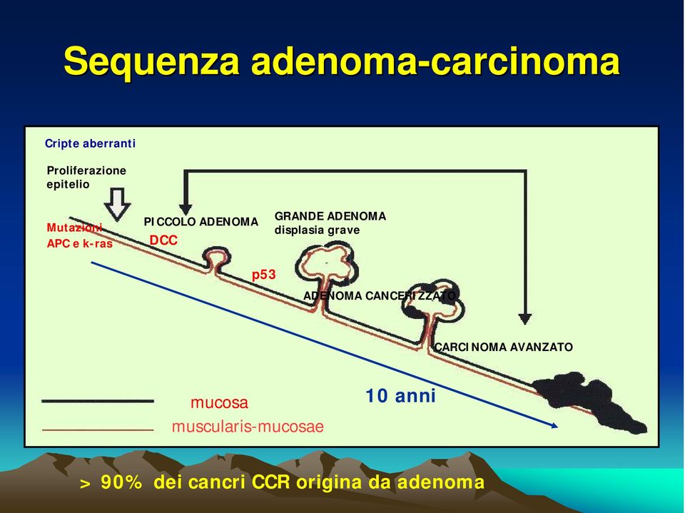 ADENOMA displasia grave p53 ADENOMA CANCERIZZATO CARCINOMA