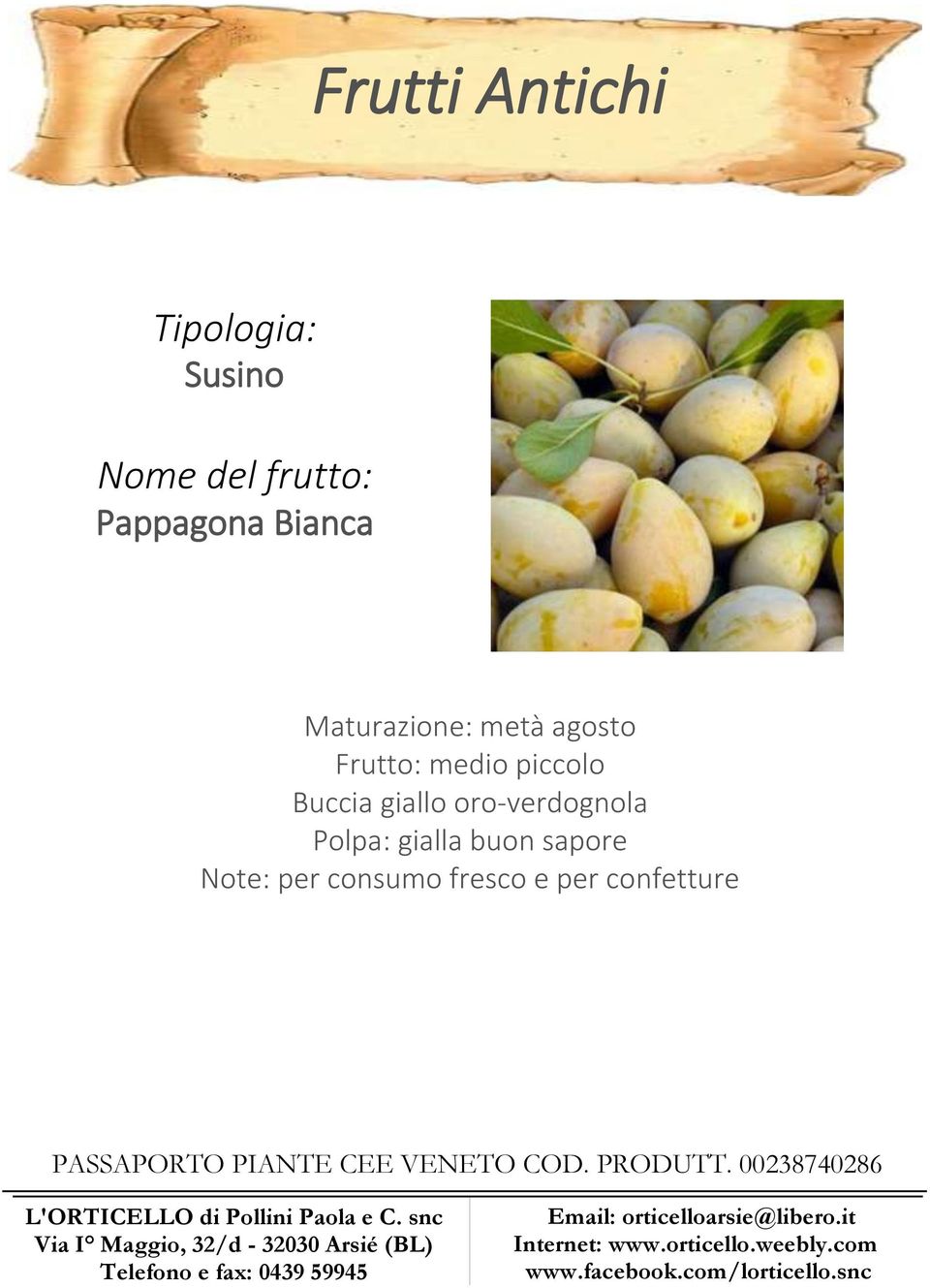 giallo oro-verdognola Polpa: gialla