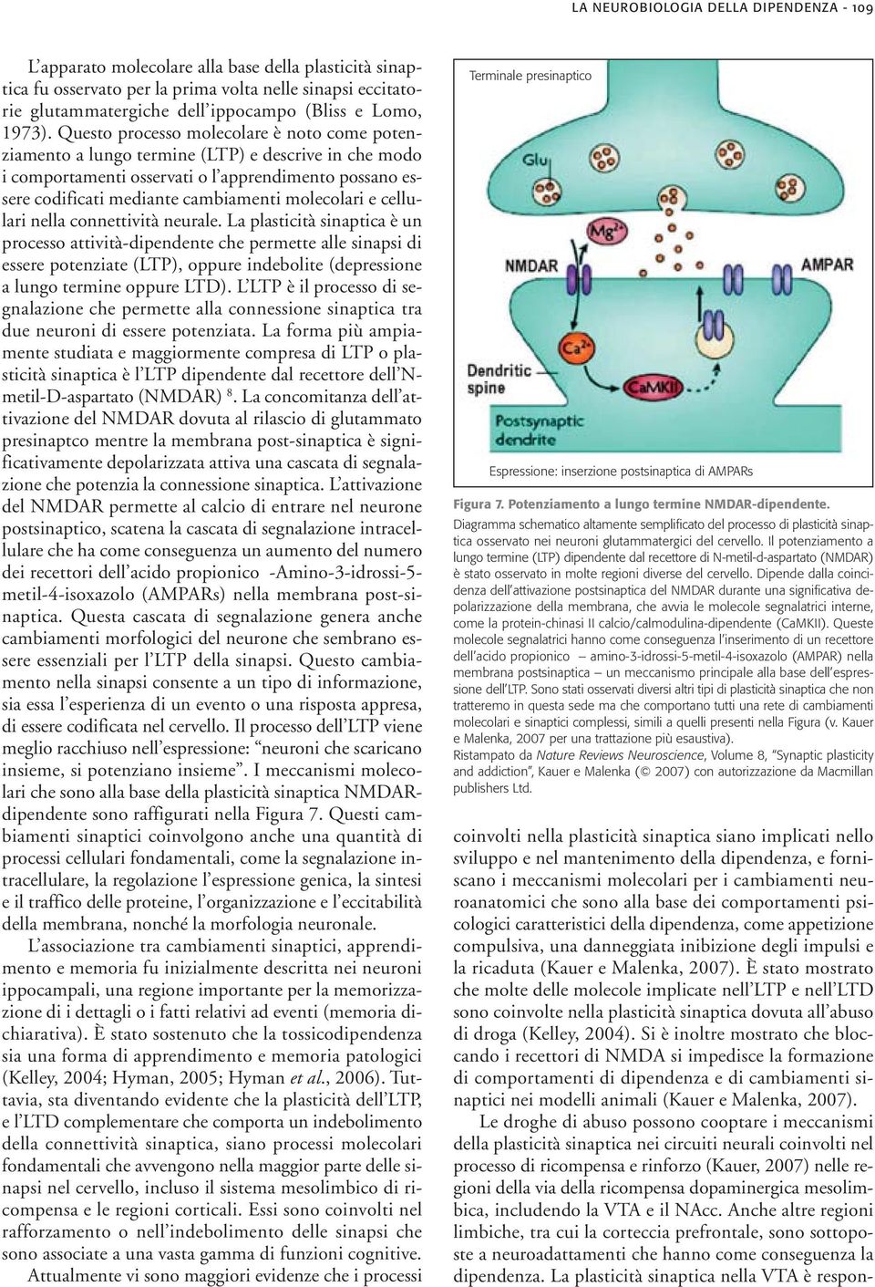 Questo processo molecolare è noto come potenziamento a lungo termine (LTP) e descrive in che modo i comportamenti osservati o l apprendimento possano essere codificati mediante cambiamenti molecolari