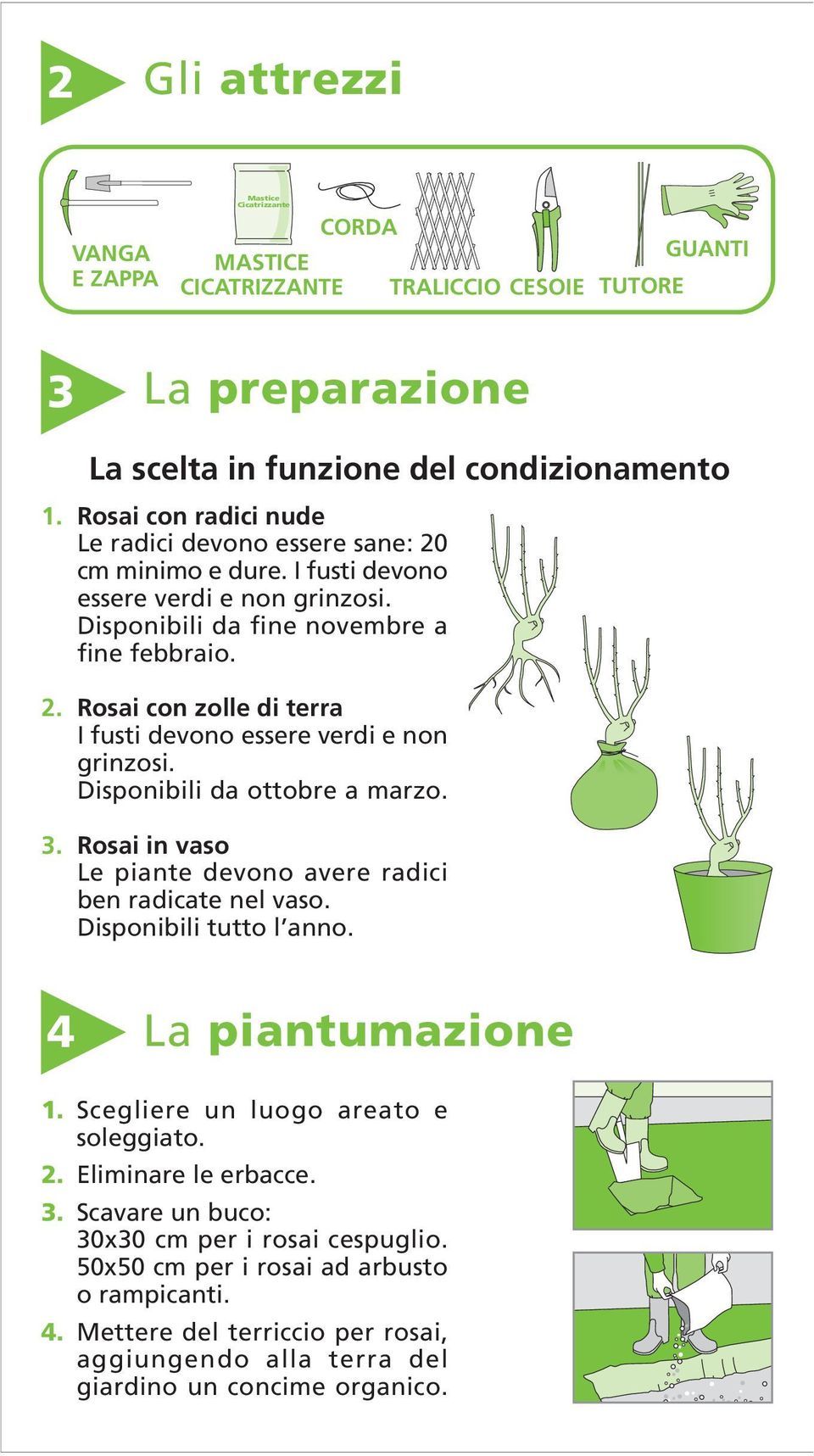 Disponibili da ottobre a marzo. 3. Rosai in vaso Le piante devono avere radici ben radicate nel vaso. Disponibili tutto l anno. 4 La piantumazione 1. Scegliere un luogo areato e soleggiato. 2.