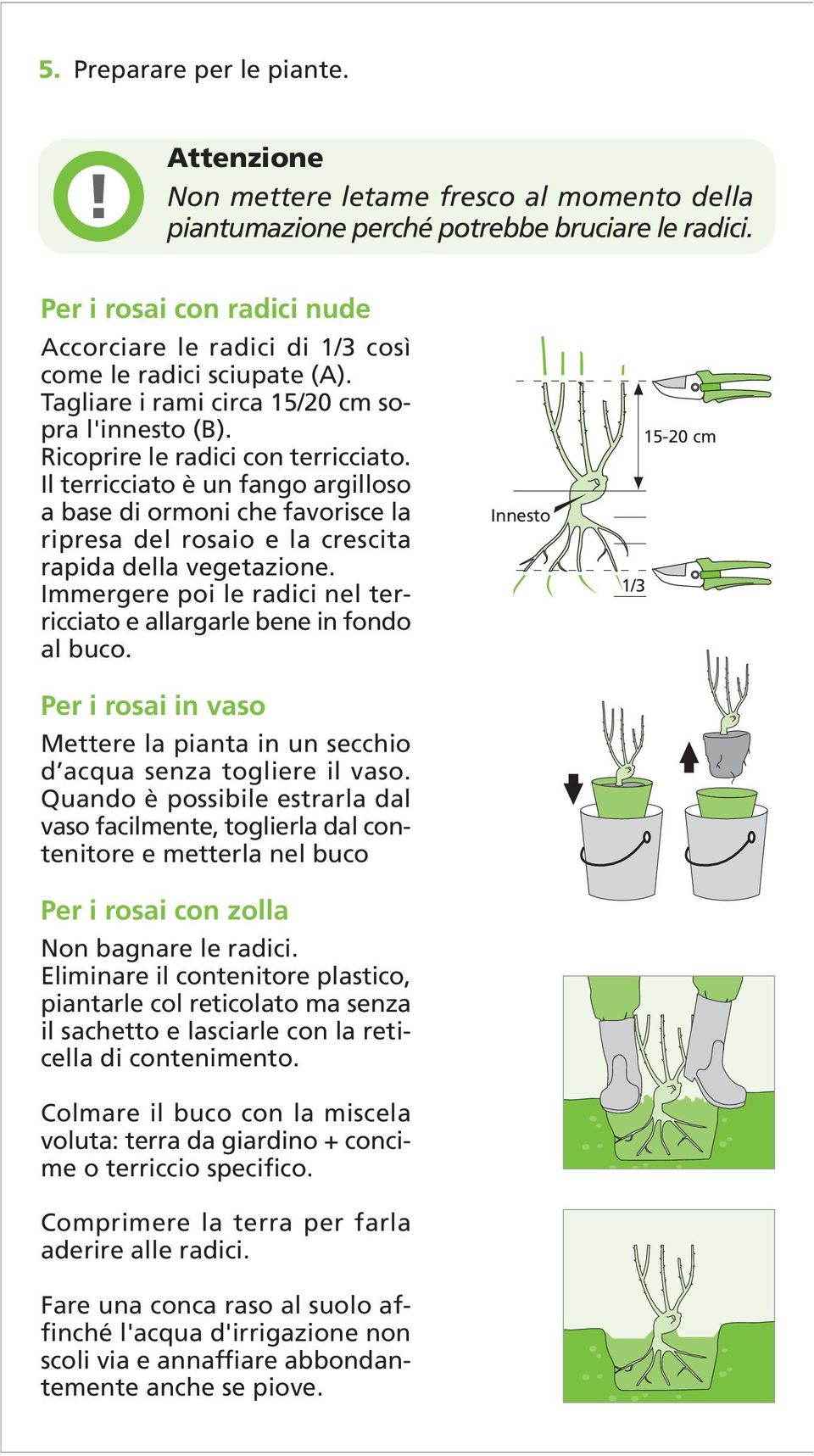 Il terricciato è un fango argilloso a base di ormoni che favorisce la ripresa del rosaio e la crescita rapida della vegetazione.