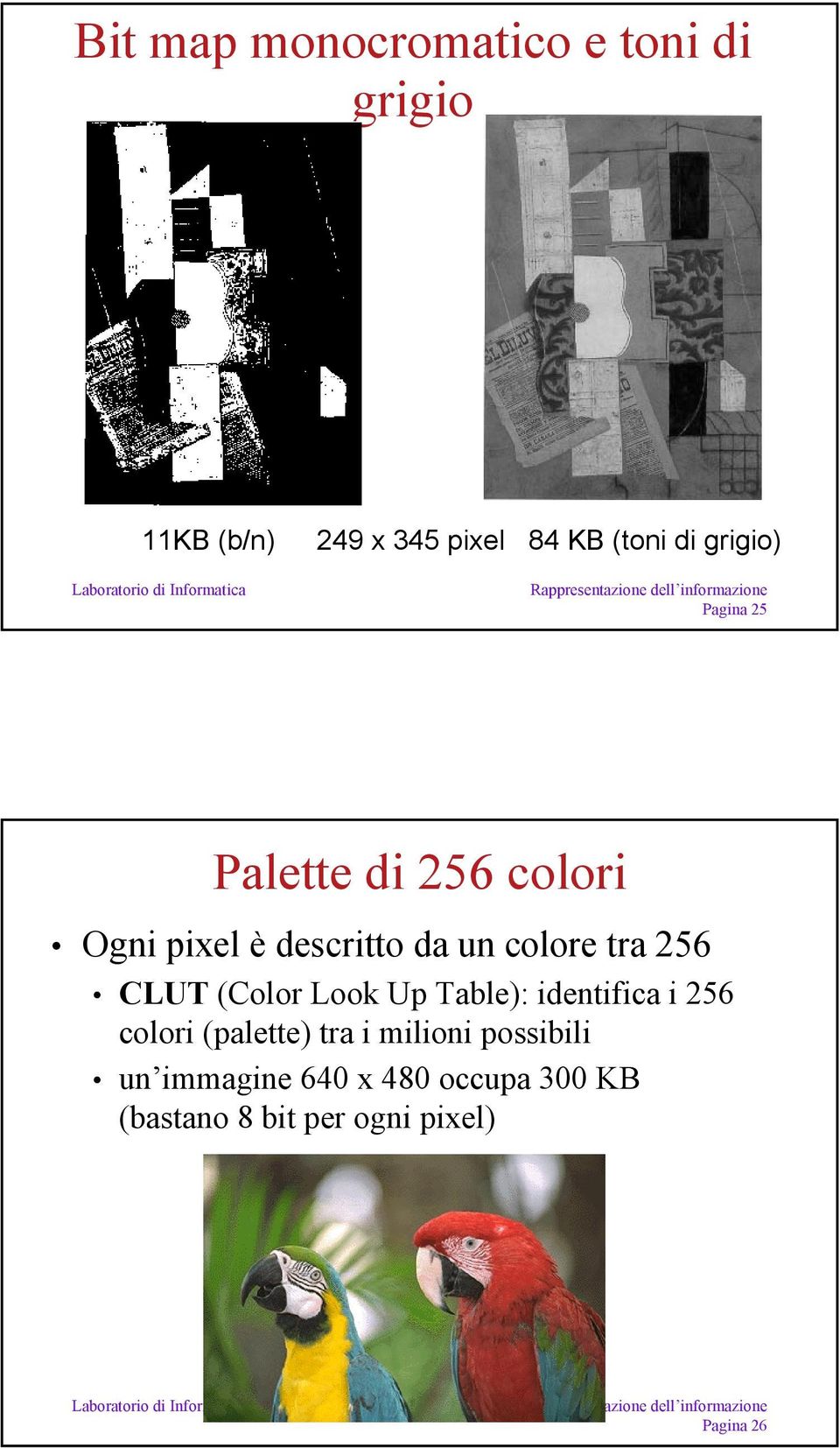 256 CLUT (Color Look Up Table): identifica i 256 colori (palette) tra i milioni