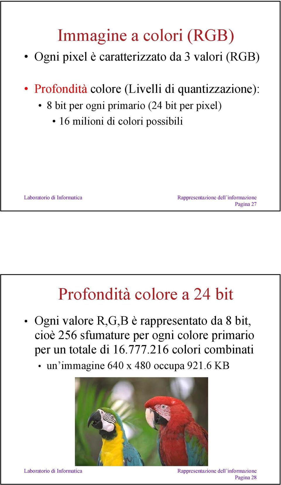 Profondità colore a 24 bit Ogni valore R,G,B è rappresentato da 8 bit, cioè 256 sfumature per ogni