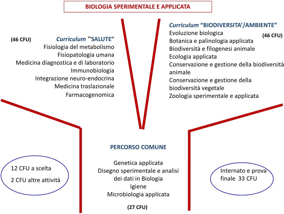 animale Ecologia applicata Conservazione e gestione della biodiversità animale Conservazione e gestione della biodiversità vegetale Zoologia sperimentale e applicata 12 CFU a