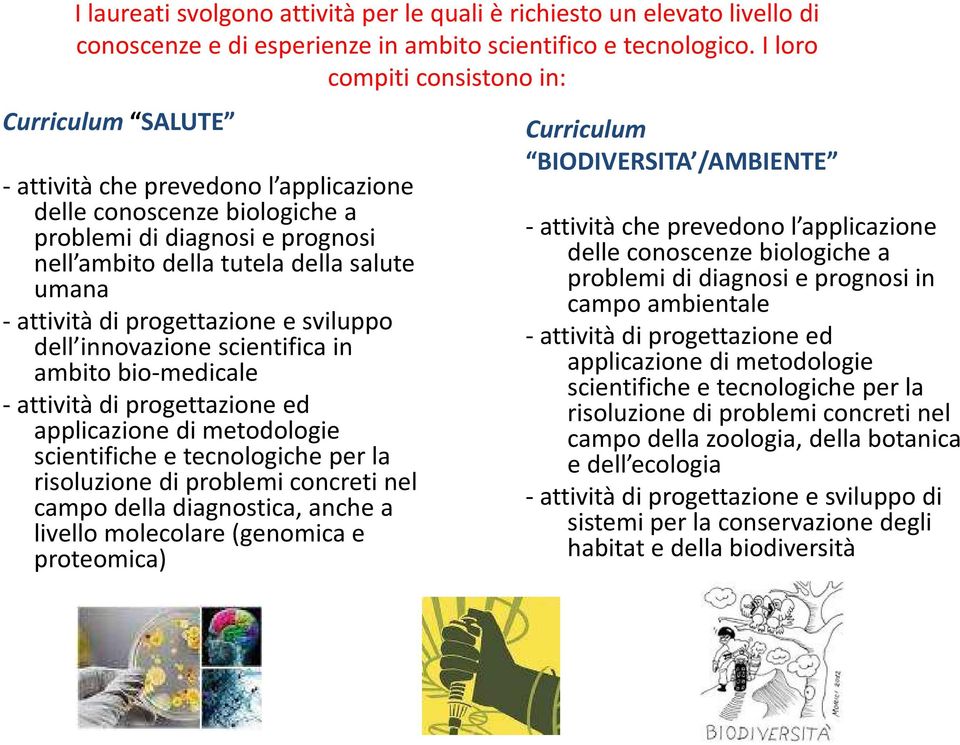 -attività di progettazione e sviluppo dell innovazione scientifica in ambito bio-medicale -attività di progettazione ed applicazione di metodologie scientifiche e tecnologiche per la risoluzione di