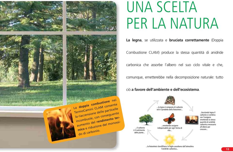 decomposizione naturale: tutto ciò a favore dell ambiente e dell ecosistema.