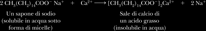 Lipidi Saponi e Detergenti MICELLA Problemi sali insolubili con: ioni di Ca(II), Mg(II) oppure Fe(III) (acqua dura).