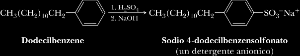 Lipidi Saponi e Detergenti Soluzione Sali sintetici sali di calcio, magnesio e ferro di acidi monoalchilsolforici e solfonici LAS: alchilbenzensolfonati