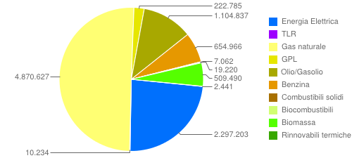 Consumi finali di energia nel