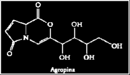 Agrobacterium tumefaciens: opina Oltre ai geni dell auxina e delle citochinine la regione T-DNA del plasmide Ti contiene un gene per la sintesi di un opina.