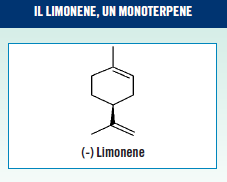 Sono in genere prodotti in seguito a traumi o in risposta risposta all