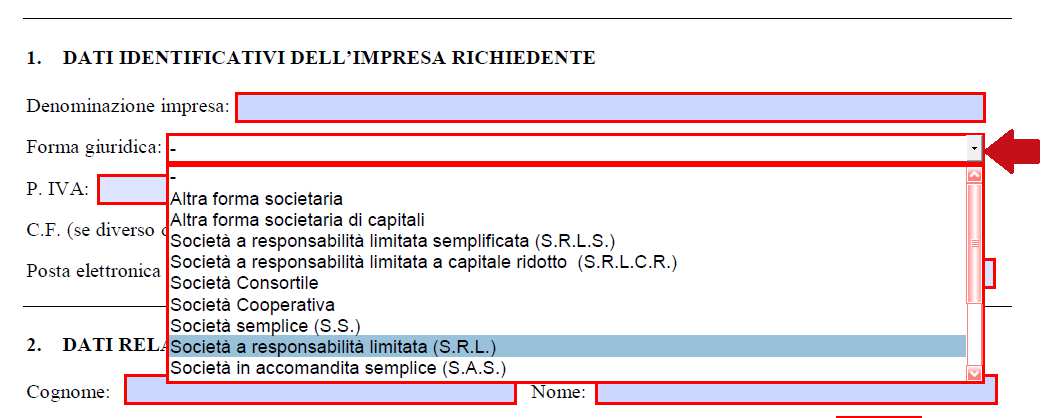 N.B.: Il campo Posta elettronica certificata dovrà riportare esclusivamente l indirizzo di PEC dell impresa