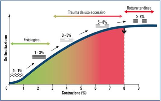 L evenienza più tipica è quella legata all uso eccessivo (lesioni indirette croniche).