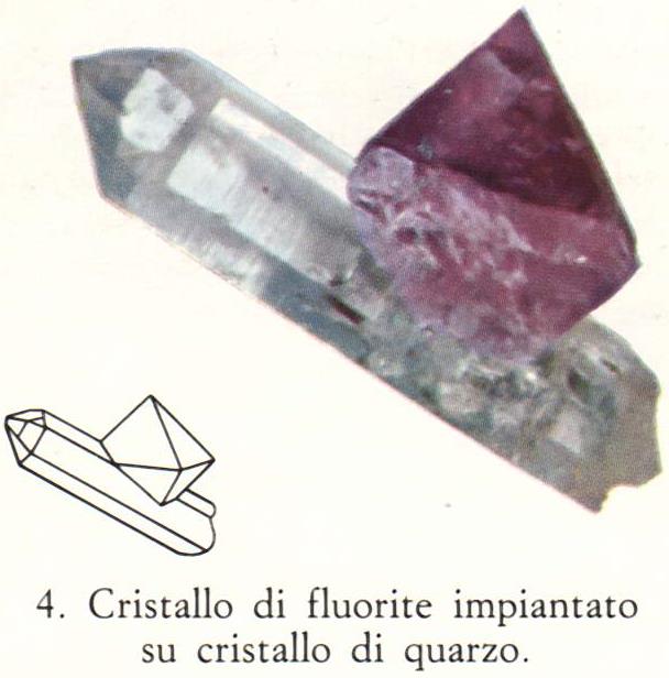 Alogenuri: Fluorite Di colore violetto.