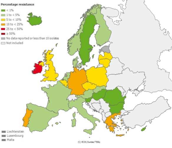 Frequenza relativa di ceppi E.