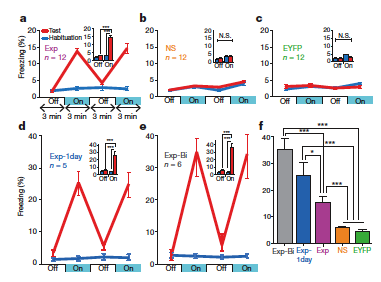 Stimolazione optogenetica delle cellule-engramma La stimolazione ottica delle celluleengramma induce una risposta comportamentale Durante la prima fase di abituazione (contesto A) topi non mostrano