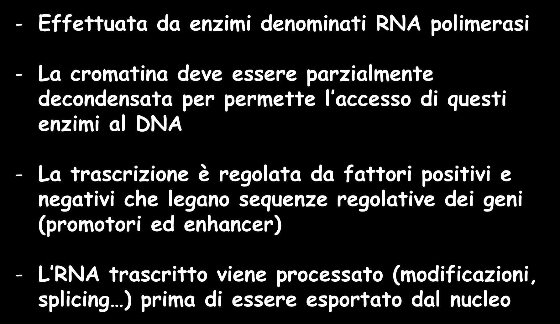 Trascrizione del DNA in RNA - Effettuata da enzimi denominati RNA polimerasi - La cromatina deve essere parzialmente decondensata per permette l accesso di questi enzimi al DNA - La trascrizione è