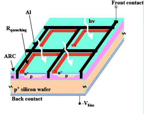 I Silicon Photomultipliers Detector al silicio composti da una matrice di pixel connessi ad un output comune Ogni pixel può essere considerato come un diodo alimentato ad una tensione oltre quella di