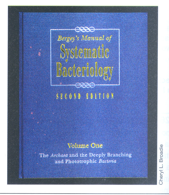 Il Bergey s Manual of Systematic Bacteriology Il principale trattato di tassonomia dei procarioti è il Bergey s Manual of Systematic Bacteriology, un trattato in quattro volumi che contiene il