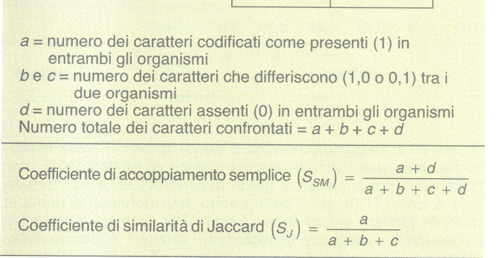 Tassonomia numerica il coefficiente di accoppiamento semplice (SSM) include nel calcolo sia le coppie positive che quelle negative.