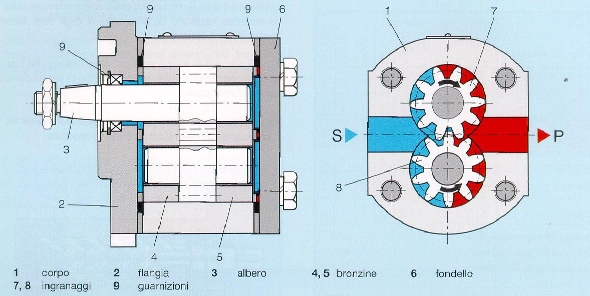 Università degli Studi di Bergamo Dipartimento di Progettazione e Tecnologie 13 Figura 10: Schema di una pompa ad ingranaggi esterni L ingranaggio (7) è calettato sull albero che riceve la potenza