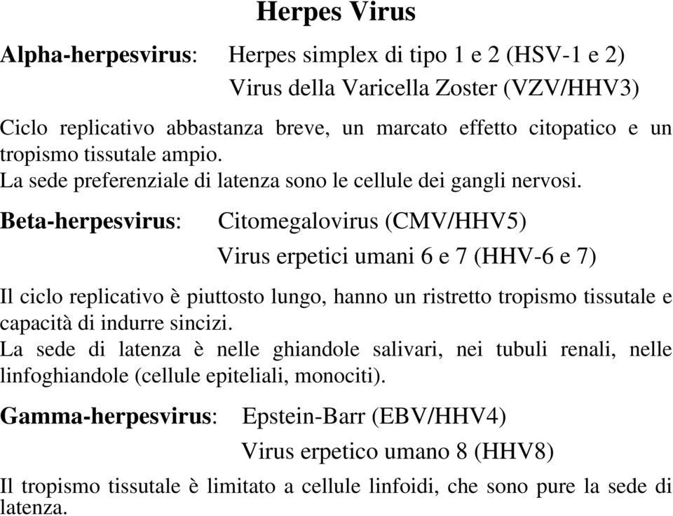 Beta-herpesvirus: Citomegalovirus (CMV/HHV5) Virus erpetici umani 6 e 7 (HHV-6 e 7) Il ciclo replicativo è piuttosto lungo, hanno un ristretto tropismo tissutale e capacità di indurre