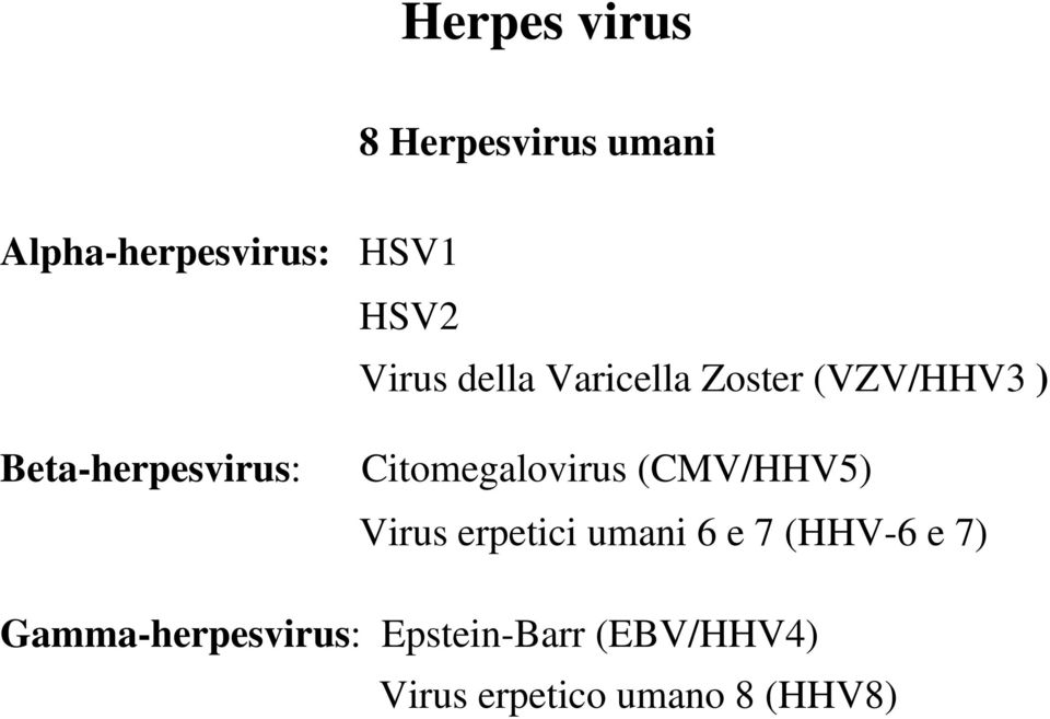 Citomegalovirus (CMV/HHV5) Virus erpetici umani 6 e 7 (HHV-6 e